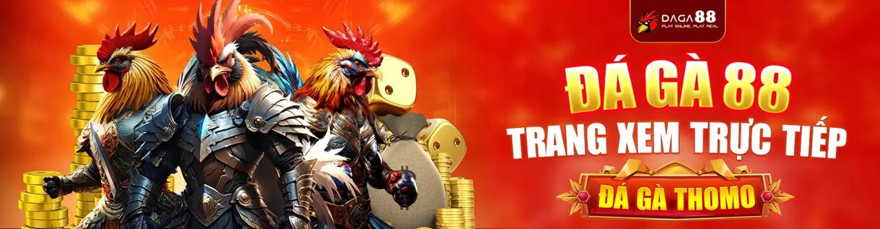 Hình ảnh Chính sách Cookie s6667 Casino, minh họa bảo vệ dữ liệu và quyền riêng tư